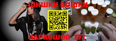 индика Гусь-Хрустальный