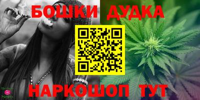 индика Гусь-Хрустальный