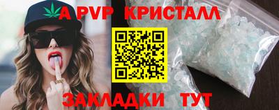 индика Гусь-Хрустальный