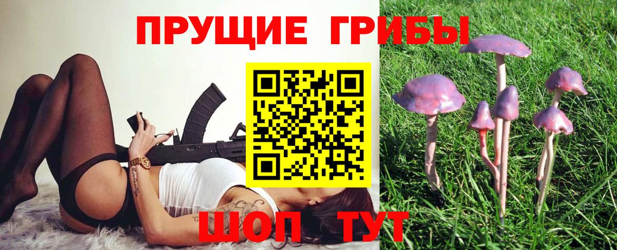 Галлюциногенные грибы MAGIC MUSHROOMS  Псилоцибиновые грибы Magic Shrooms  Новотроицк  Вход с VPN 