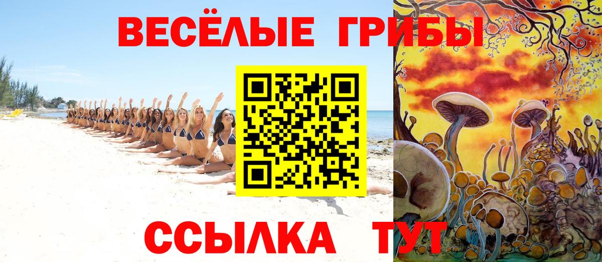 Псилоцибиновые грибы Cubensis Новотроицк